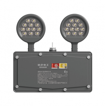 广东敏华电器有限公司_防爆防腐不锈钢双头灯