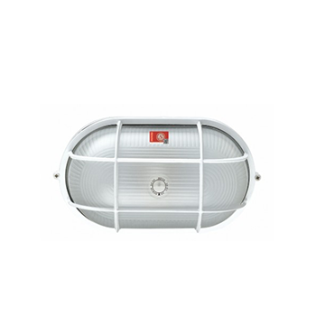 广东敏华电器有限公司_1924 椭圆三防灯,带强启,N-ZLZD-E20W1924