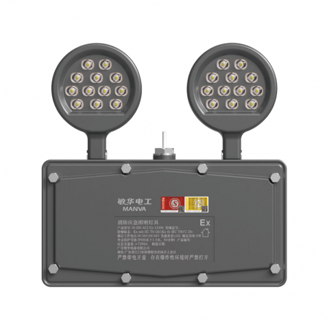 防爆防腐不锈钢双头灯