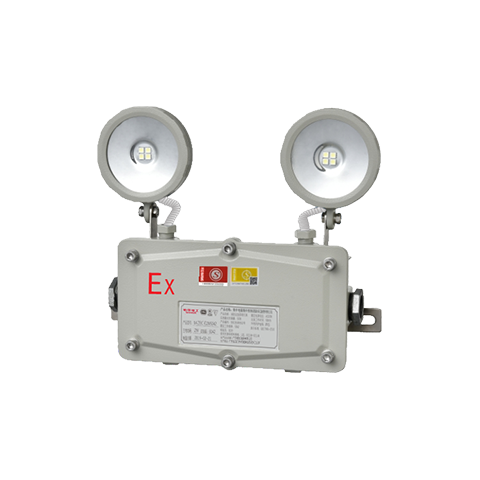 M6512 防水防爆双头灯 M-ZFZC-E2W6512自电集控