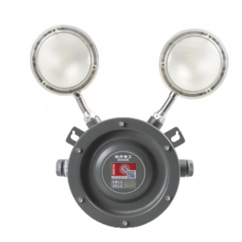 8238 防爆防水6瓦双头灯 N-ZFJC-E6W-EX8238